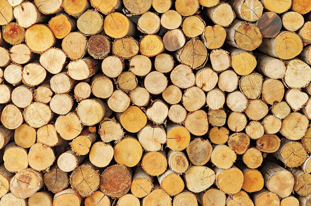 Biomass