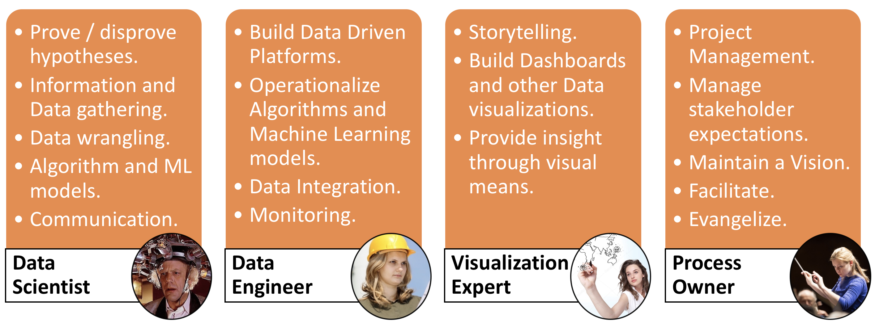 Roles in a Machine Learning Project