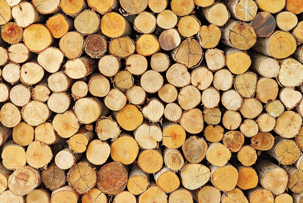Biomass