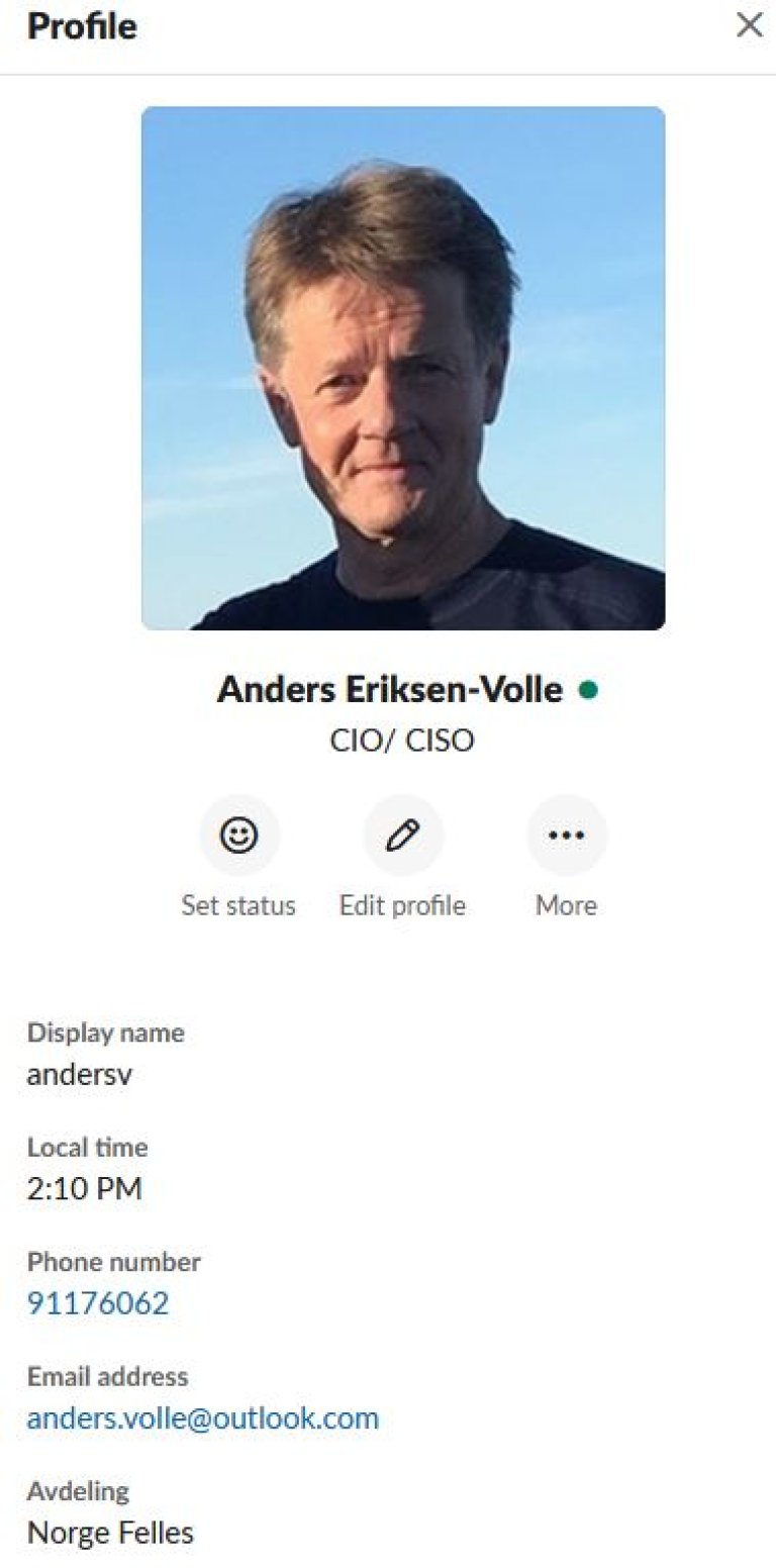 CISO profile