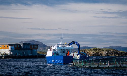 Bærekraft i havbruk