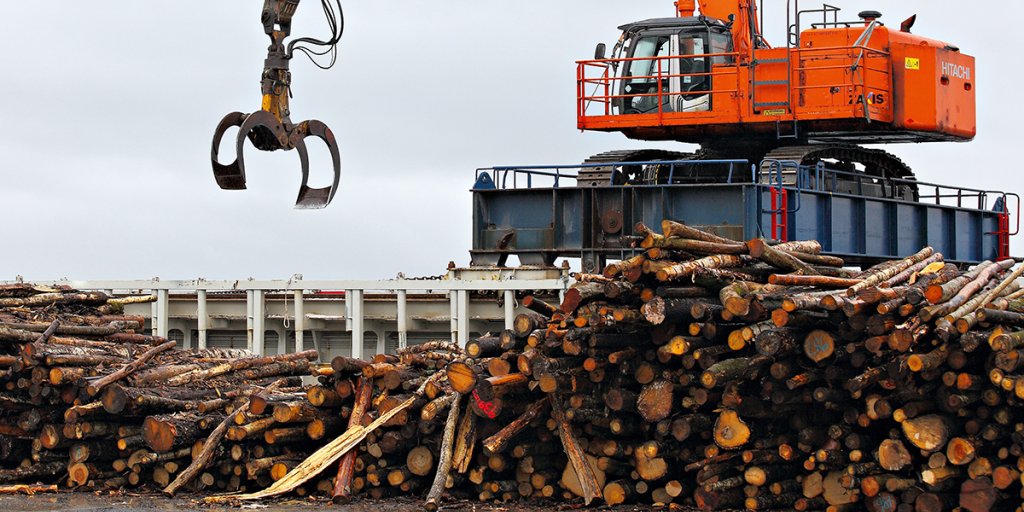 Biomass Tofte