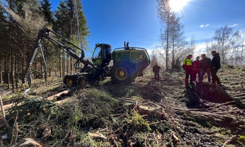 Slik bruker AT Skog moderne verktøy og metoder for å digitalisere skogbransjen